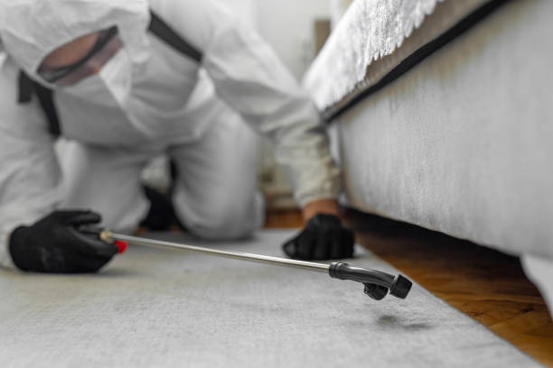Professional Ant Control technician working in Hamilton County County, IA